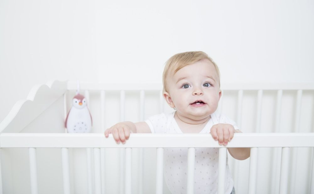 Zazu Zoe de Pinguin Grijs 3 in 1 Muziekdoosje