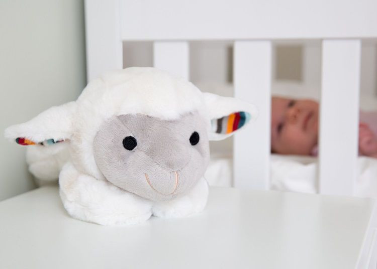 Zazu Liz Het Lammetje Heartbeat Knuffel Met Geluid