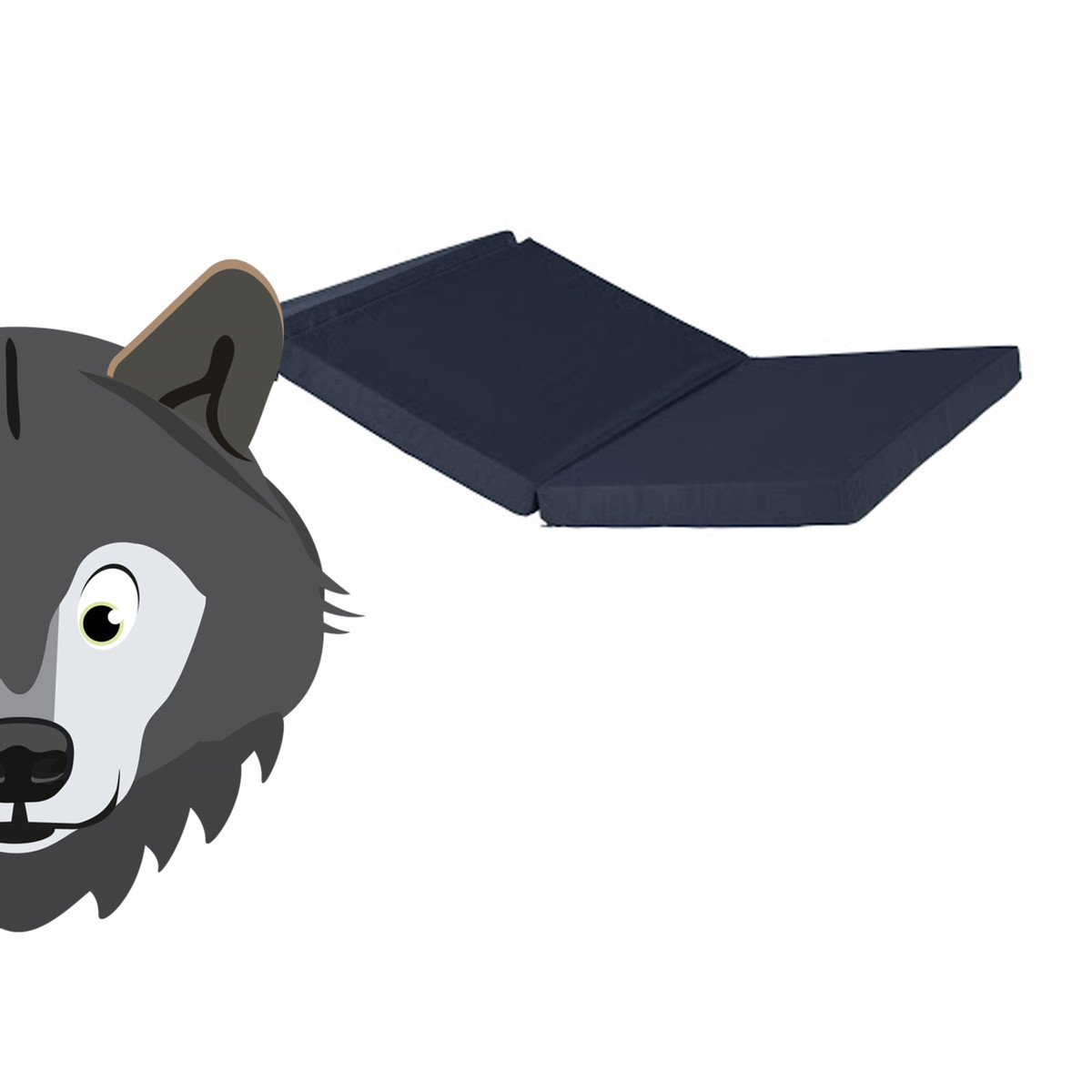 ABZ Wolf Zwart 60 x 120 cm Opvouwbaar Matras in Tas