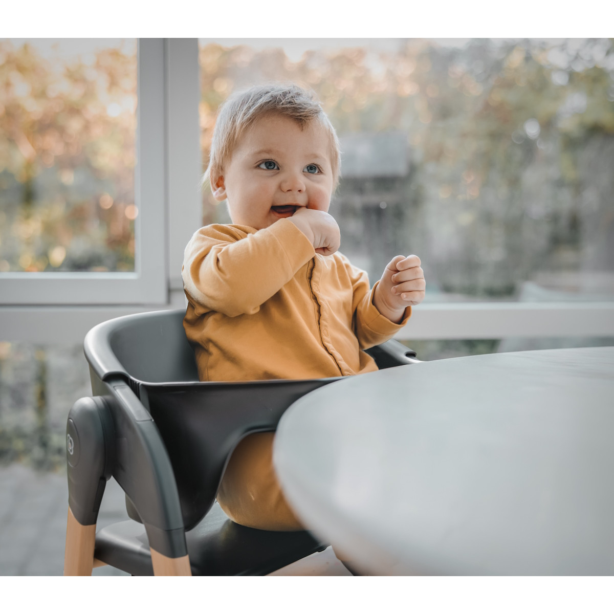 BabyGo Levels Black Wood Kinderstoel