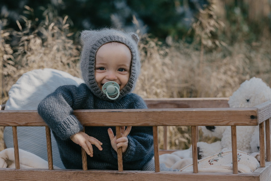 Bibs De Lux Sage Silicone Fopspeen