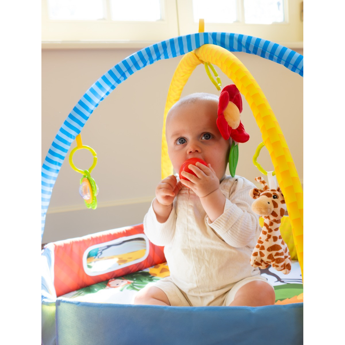 Bo Jungle Palenquo Play Gym Speelkleed/Ballenbak