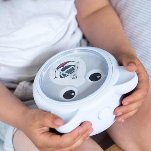 Zazu Bobby the Bear Slaaptrainer/Kinderwekker