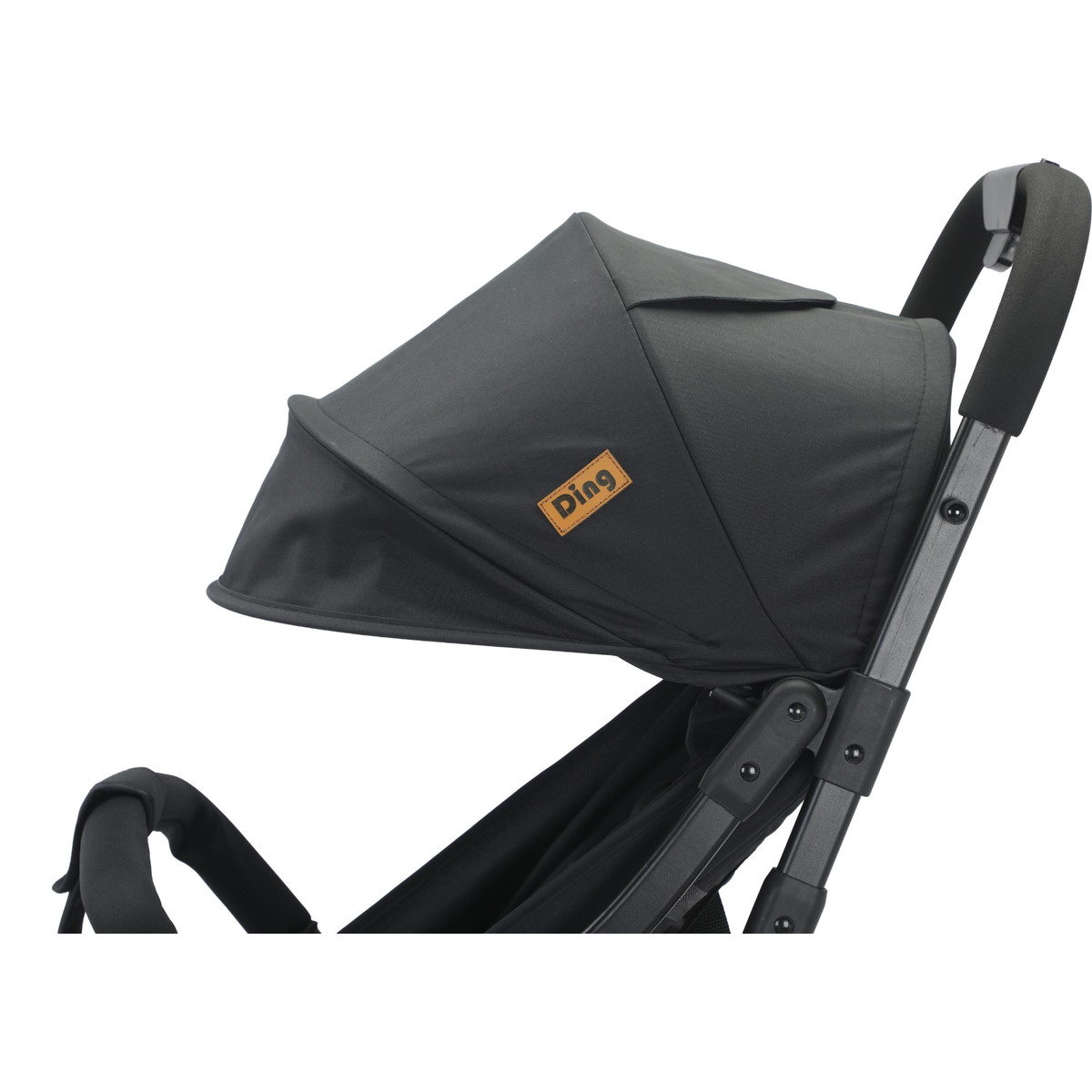 Ding Remi Black Wandelwagen