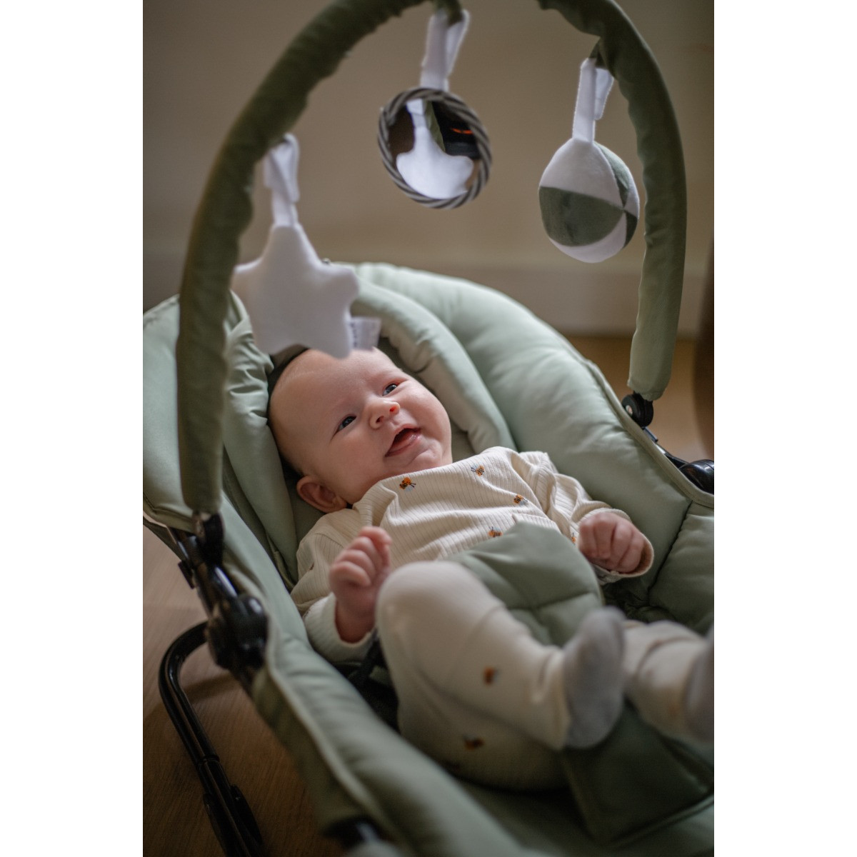 Ding Viggo Green Wipstoel