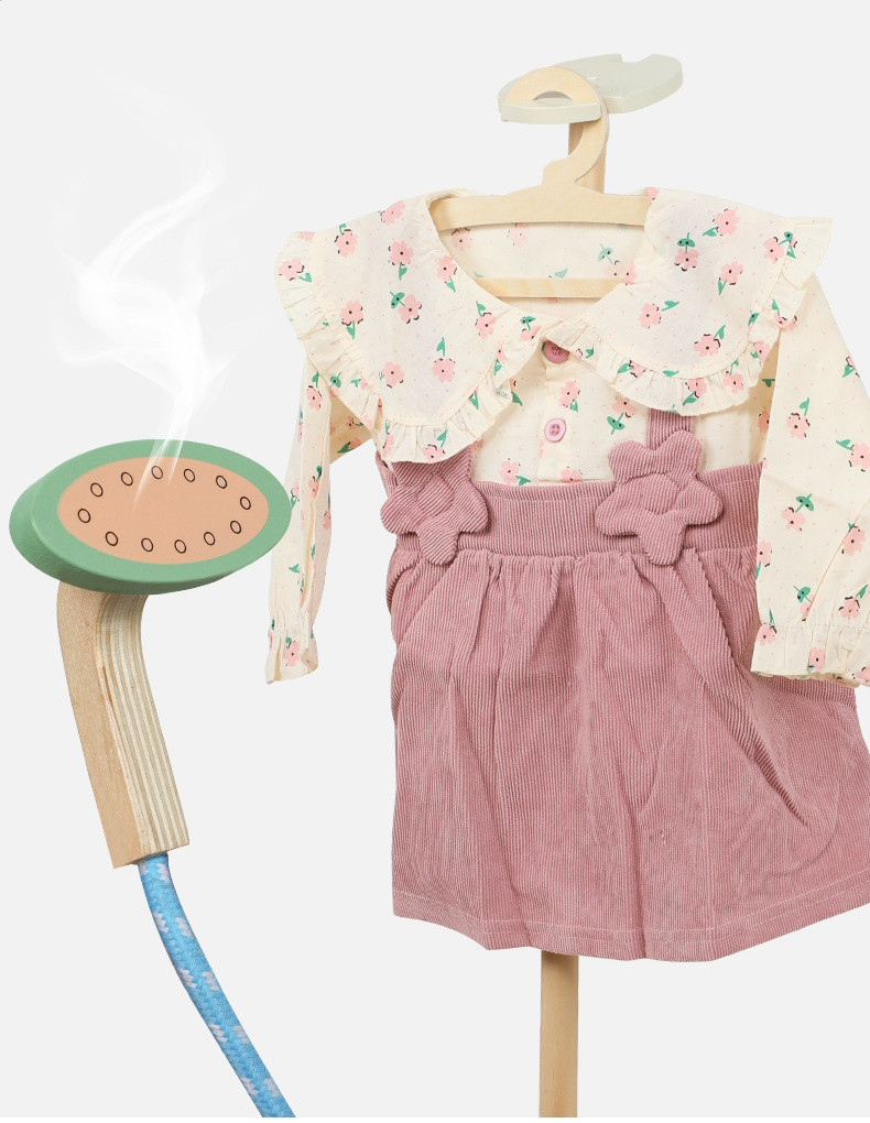 Eco Toys Houten Stoomapparaat