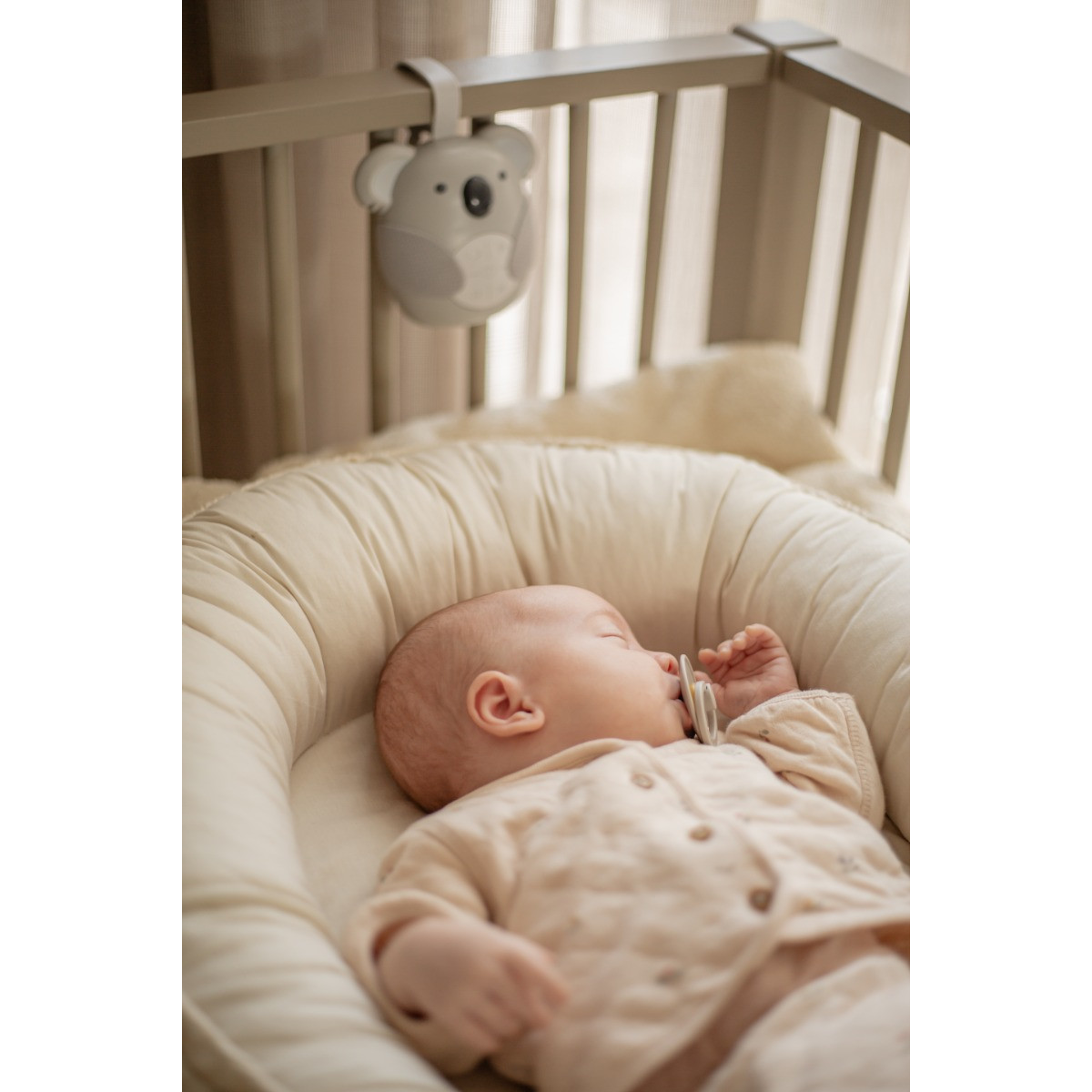 Eco Toys Koala Muziekdoosje