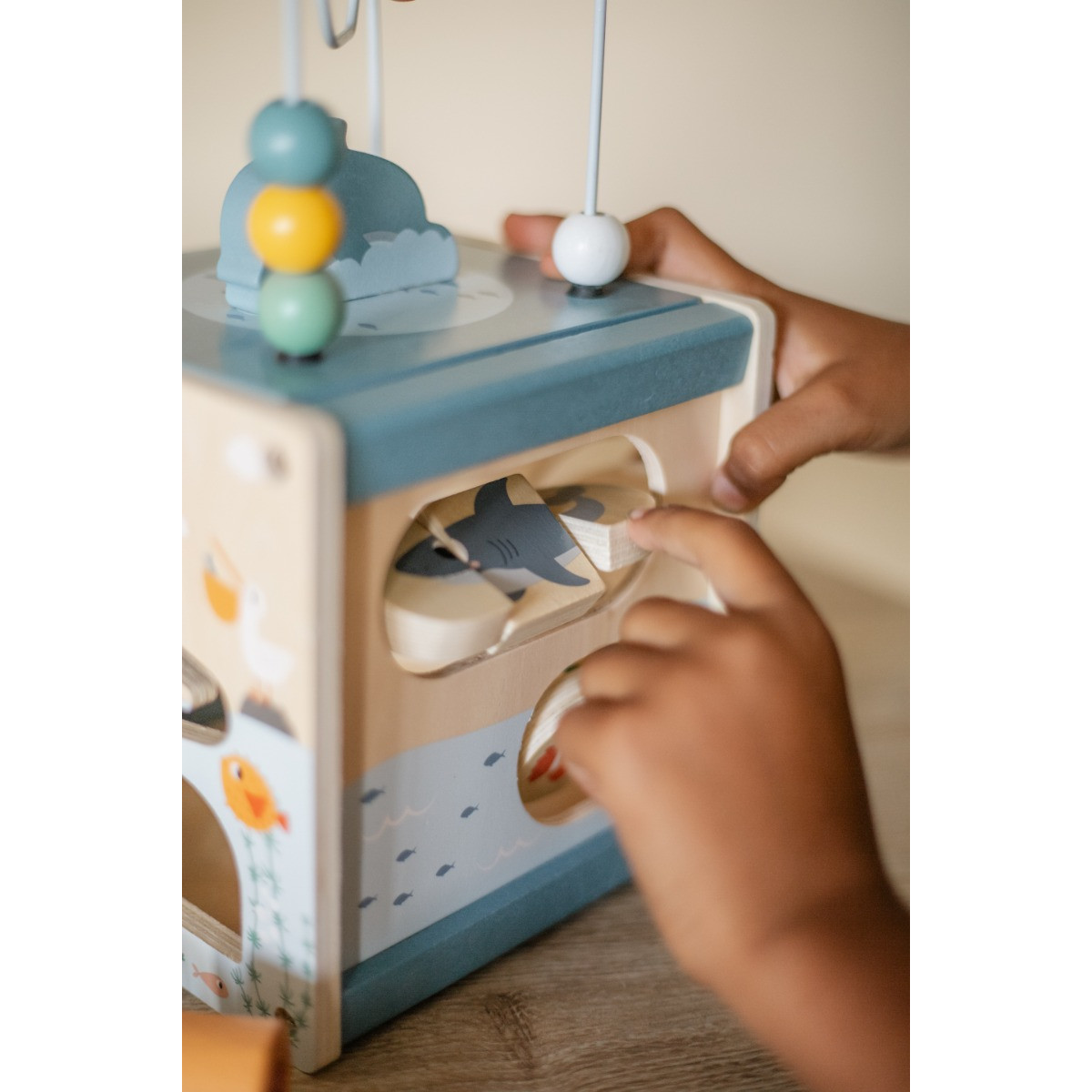 Eco Toys Oceaan Houten Activiteitenkubus