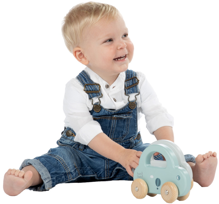 Label Label Blauw Houten Speelgoed Auto