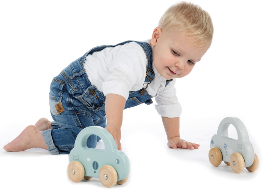 Label Label Blauw Houten Speelgoed Auto
