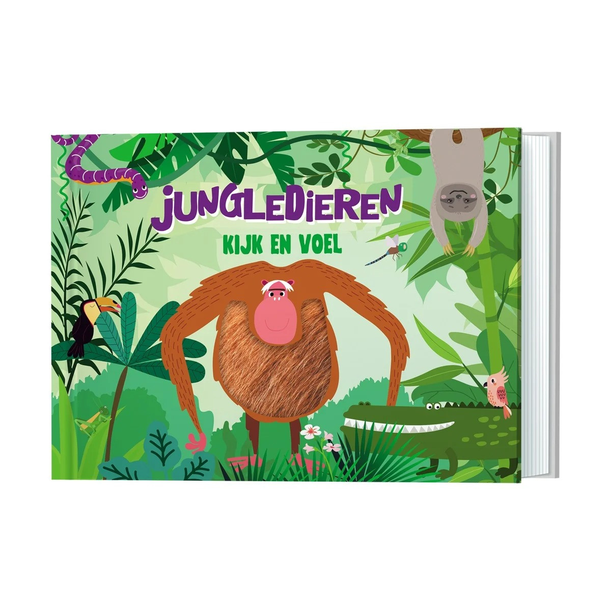 Lantaarn Jungle Kijk- en Voelboek