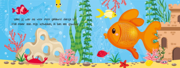 Lantaarn Kijk En Voel Huisdieren Boek