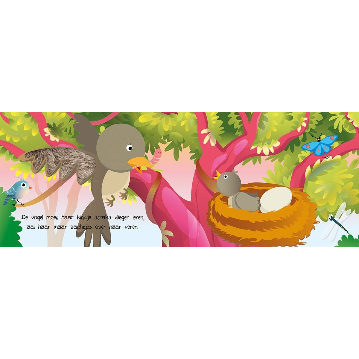 Lantaarn Kijk En Voel Natuur Boek