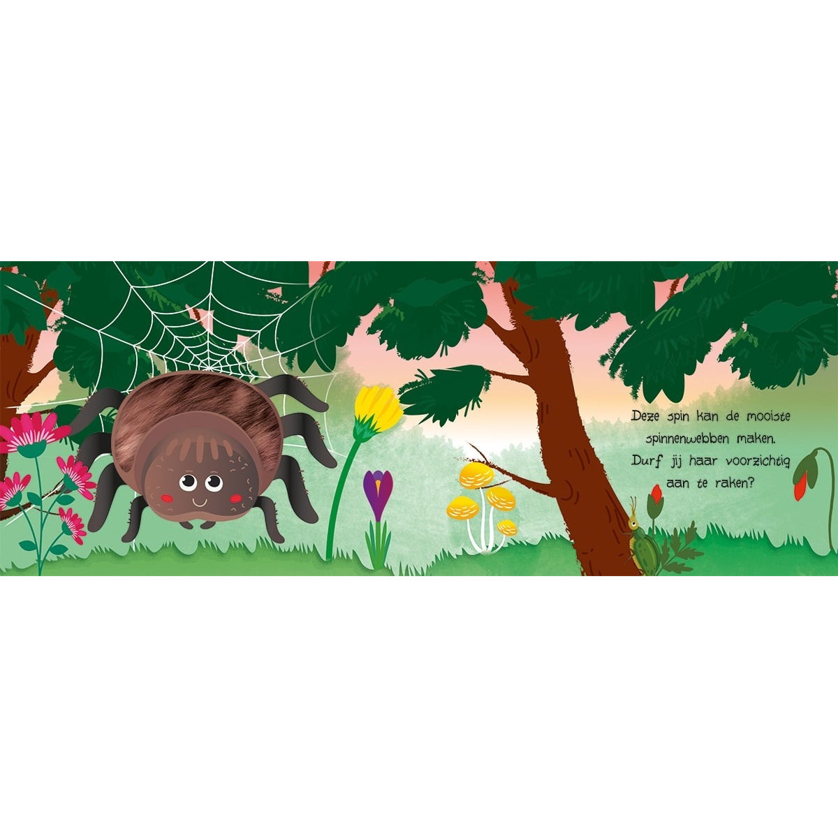 Lantaarn Kijk En Voel Natuur Boek