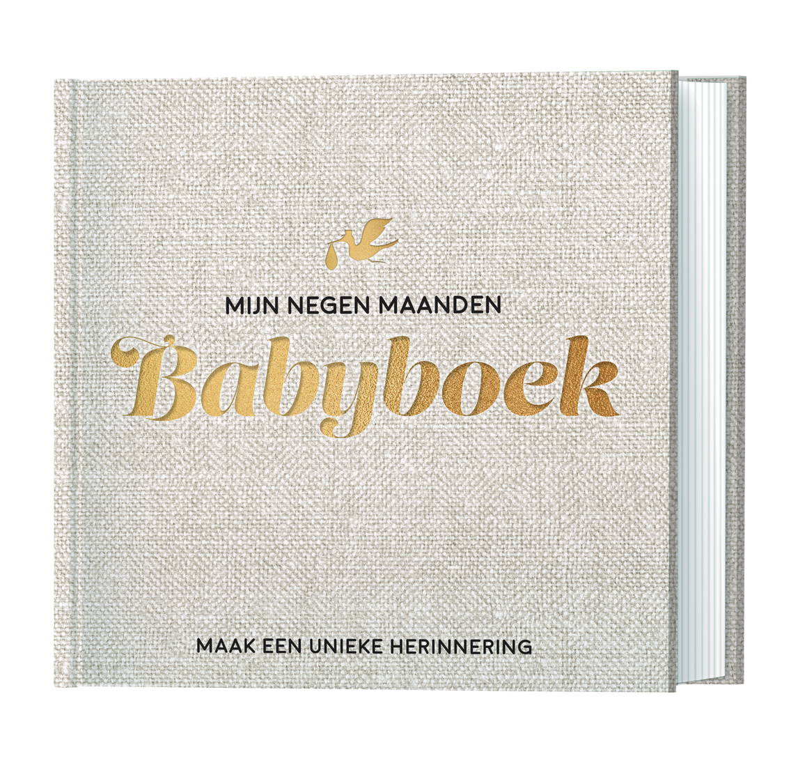 Lantaarn Mijn Negen Maanden