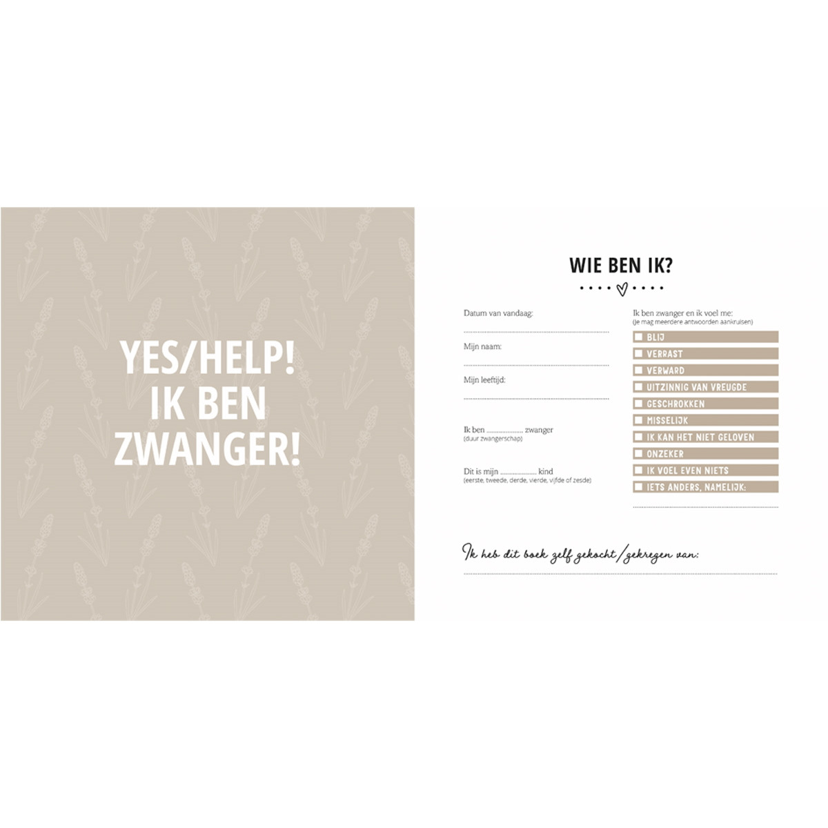 Lantaarn Mijn Negen Maanden