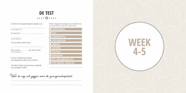 Lantaarn Mijn Negen Maanden