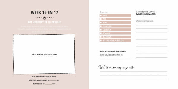 Lantaarn Mijn Negen Maanden