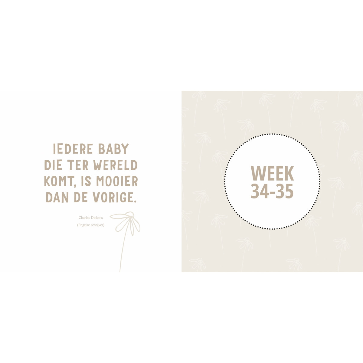 Lantaarn Mijn Negen Maanden