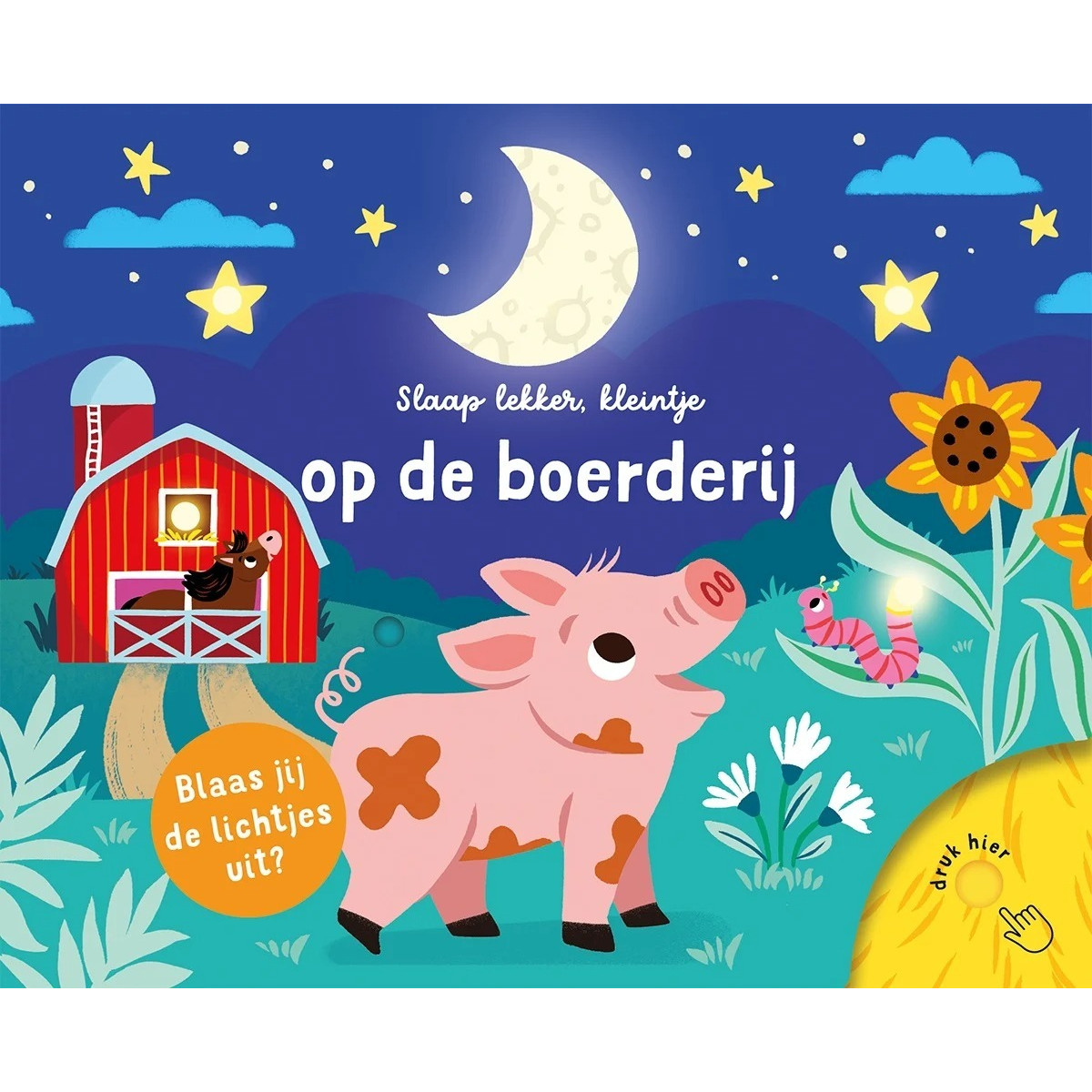 Lantaarn Slaap Lekker Kleintje Op De Boerderij