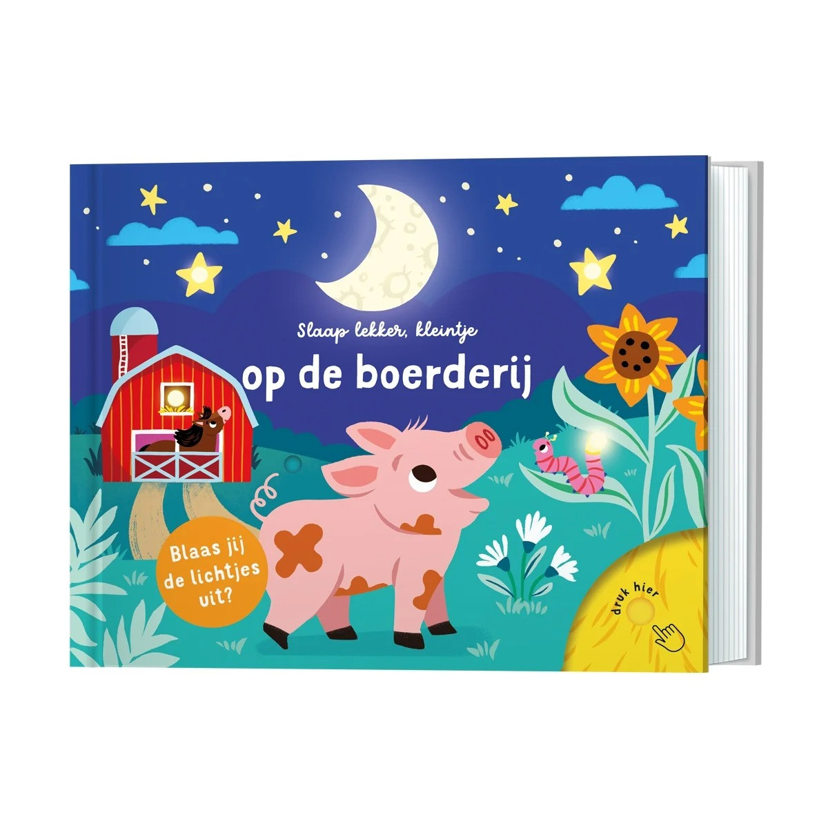 Lantaarn Slaap Lekker Kleintje Op De Boerderij