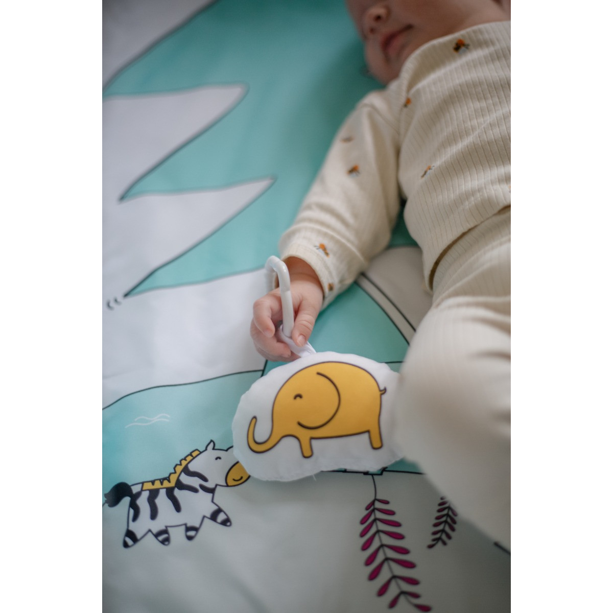 MamaLoes Diertjes 5-in-1 Speelkleed/Ballenbak