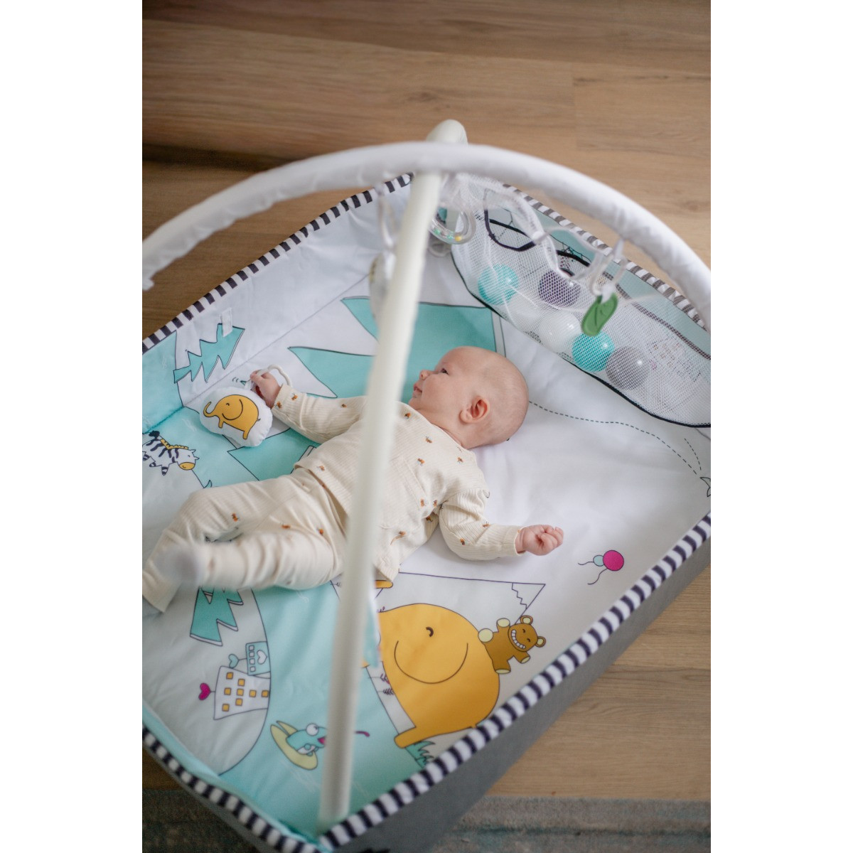 MamaLoes Diertjes 5-in-1 Speelkleed/Ballenbak