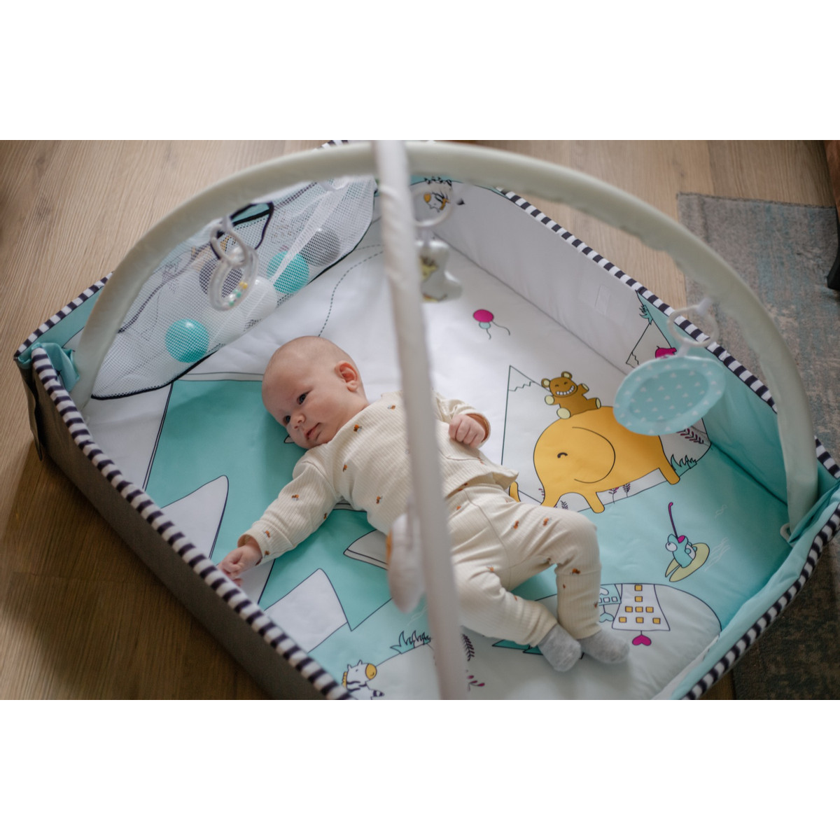 MamaLoes Diertjes 5-in-1 Speelkleed/Ballenbak