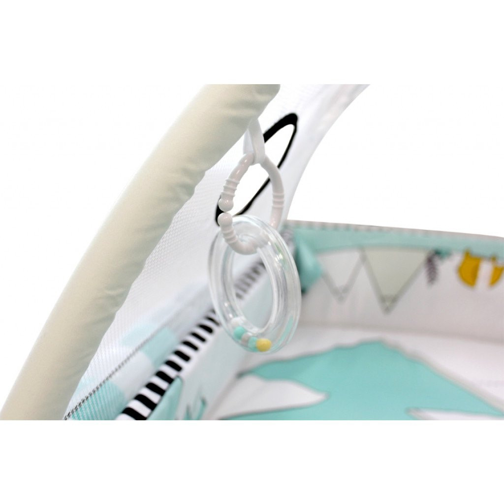 MamaLoes Diertjes 5-in-1 Speelkleed/Ballenbak