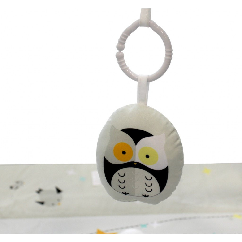 MamaLoes Uiltjes 5-in-1 Speelkleed/Ballenbak