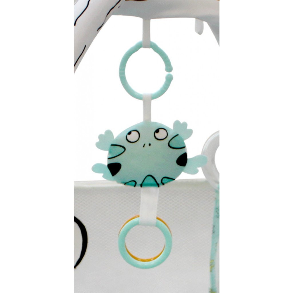 MamaLoes Kikker 3-in-1 Speelkleed/Ballenbak