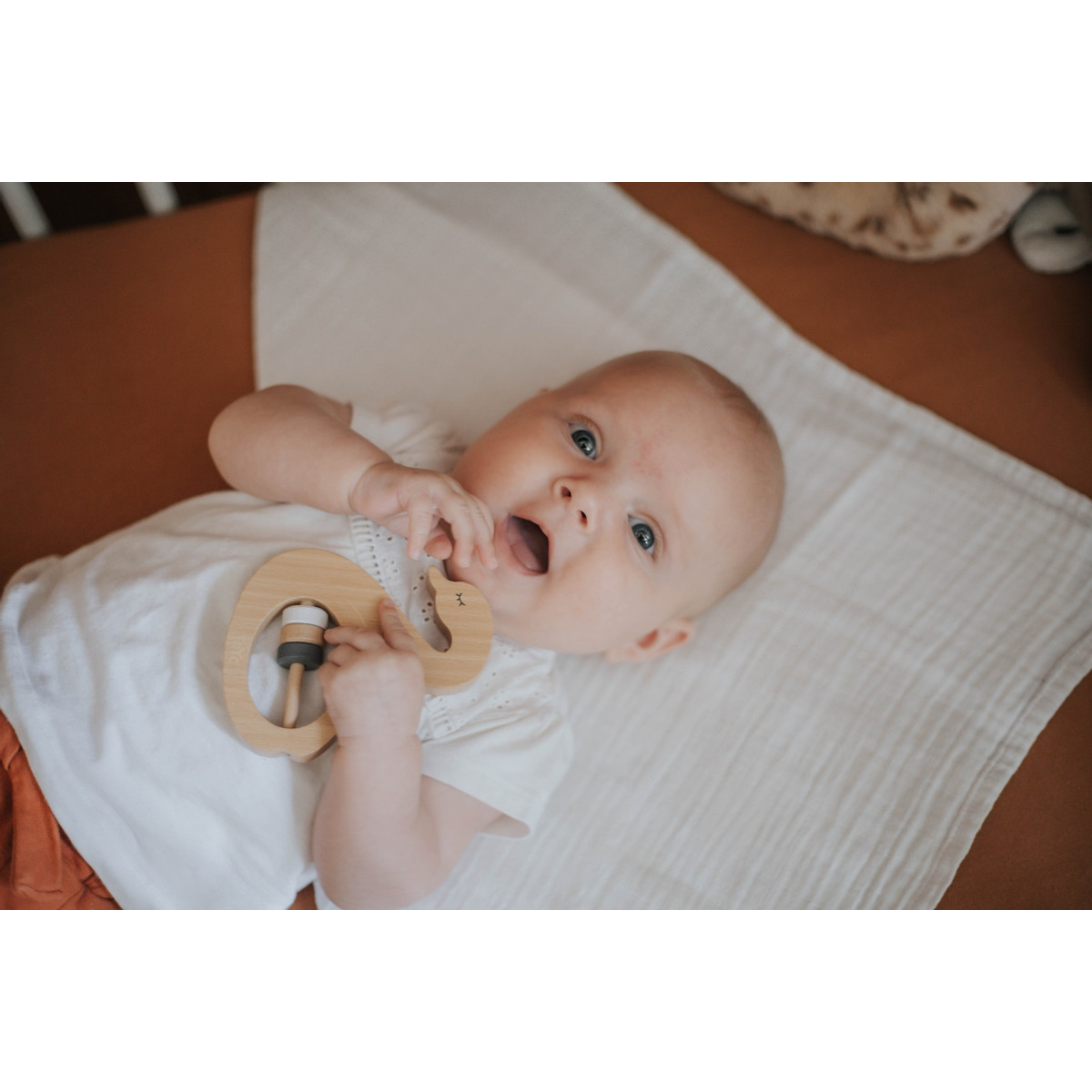 Tryco Zwaan Houten Rammelaar