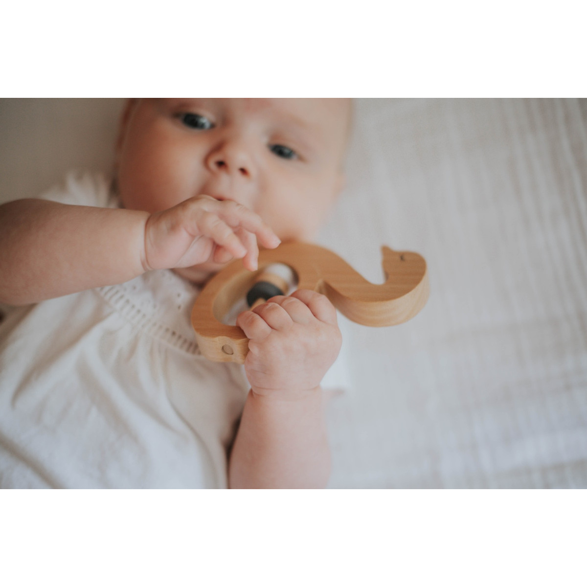 Tryco Zwaan Houten Rammelaar