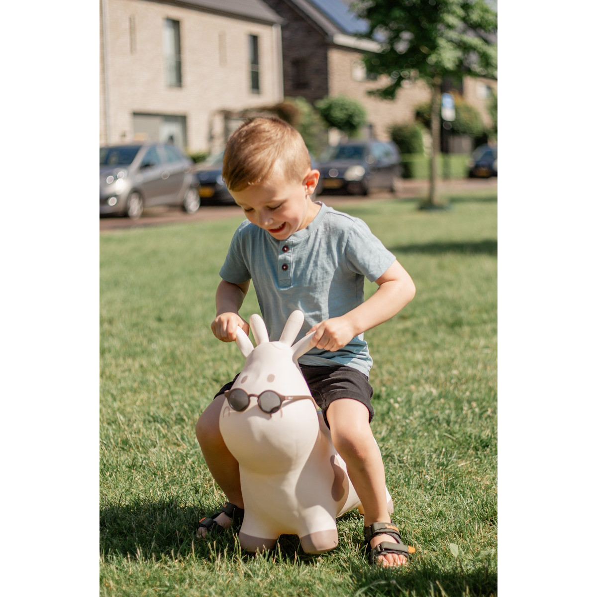 Tryco Beige Skippykoe