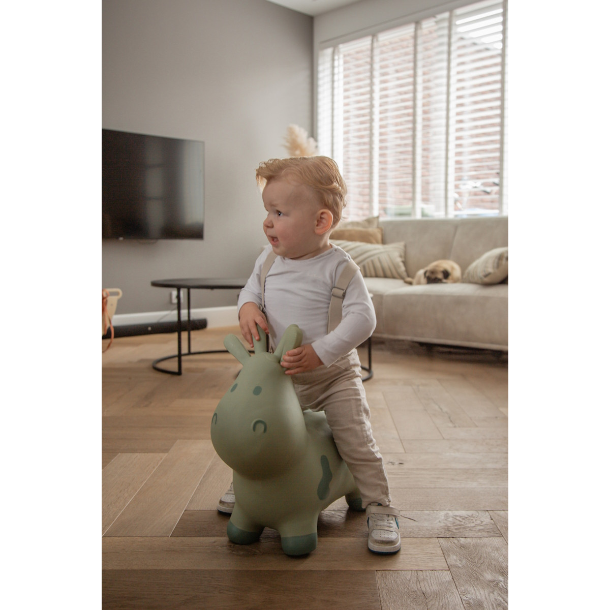 Tryco Stonegreen Skippykoe