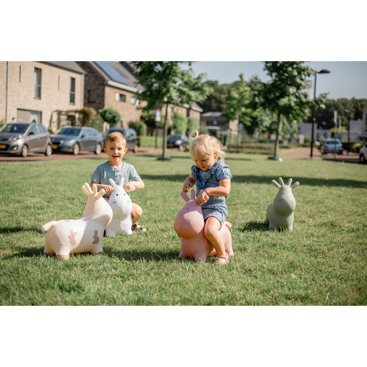 Tryco Pink Skippykoe