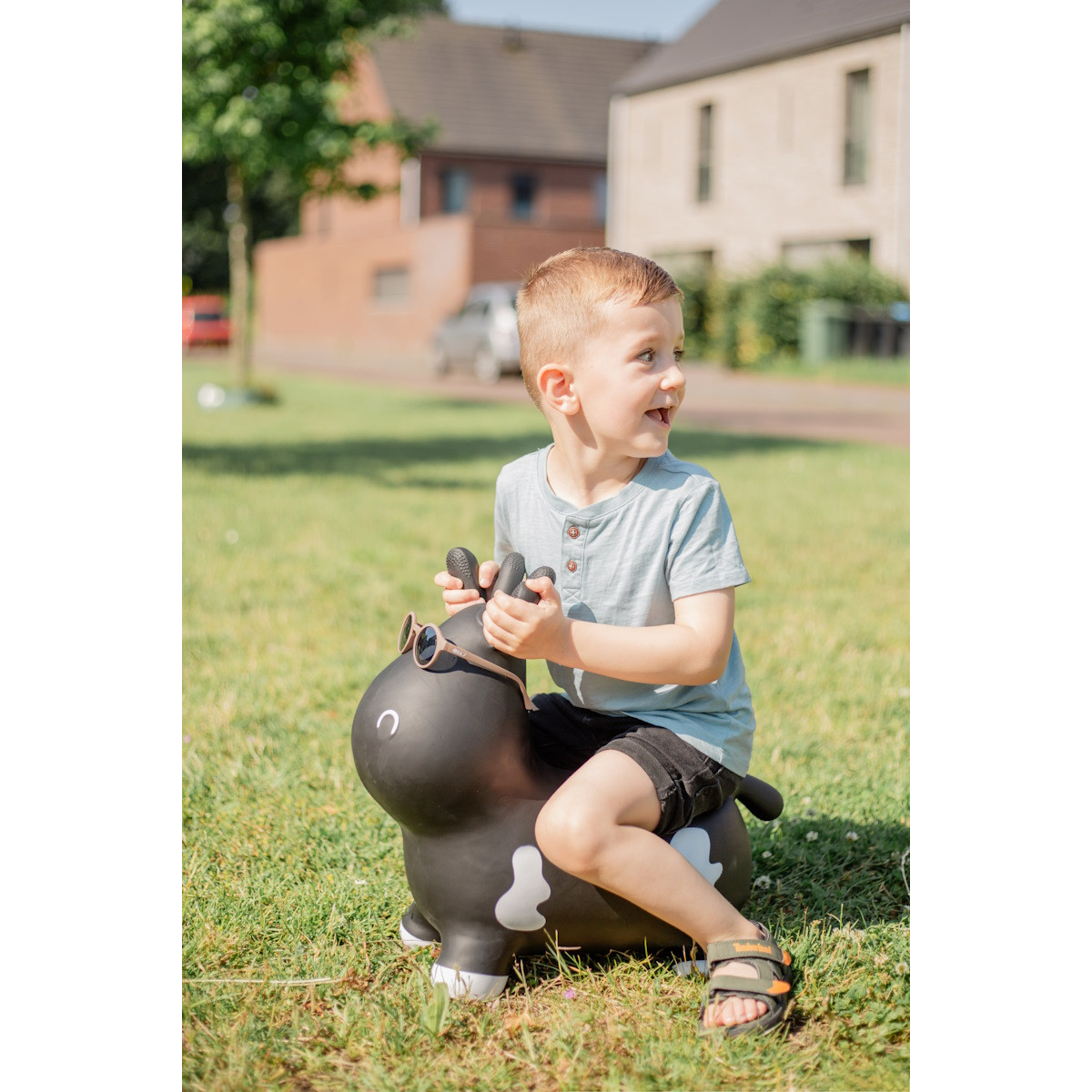 Tryco Black Skippykoe