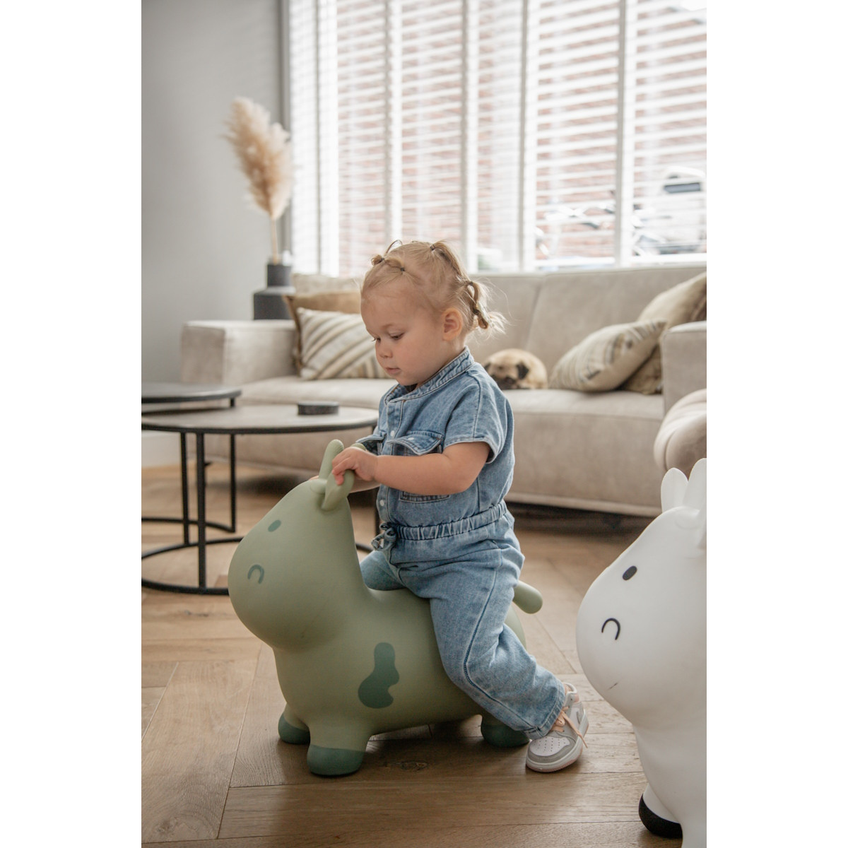 Tryco Stonegreen Skippykoe