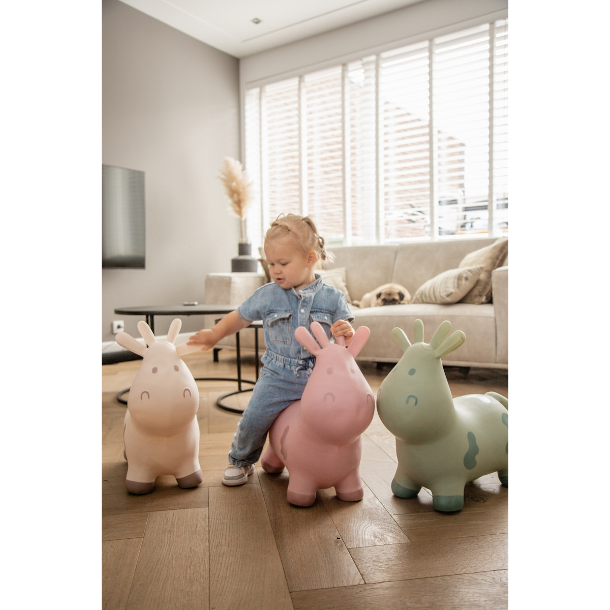 Tryco Beige Skippykoe