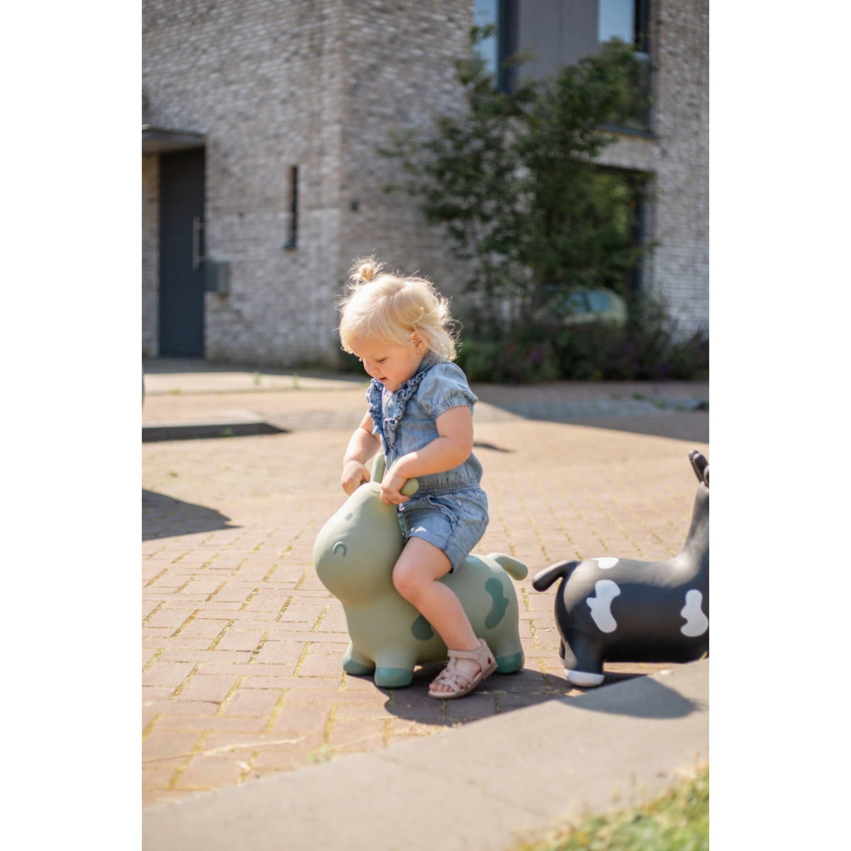 Tryco Stonegreen Skippykoe