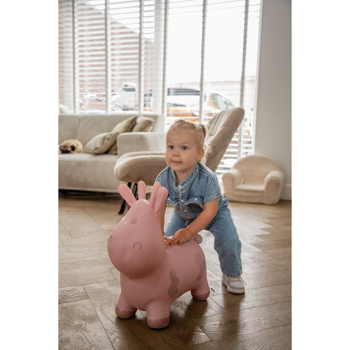 Tryco Pink Skippykoe