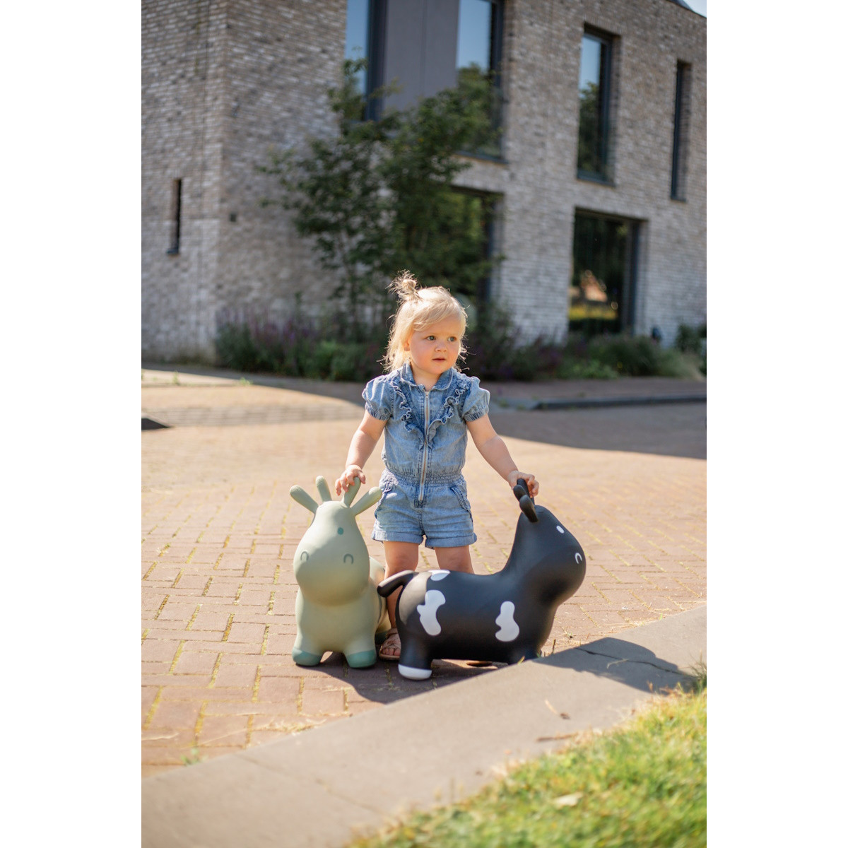 Tryco Black Skippykoe