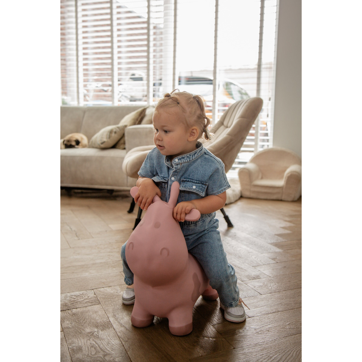 Tryco Pink Skippykoe