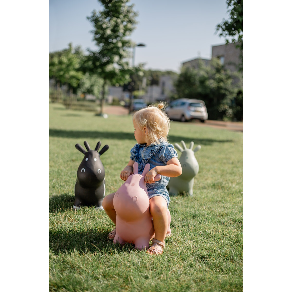 Tryco Pink Skippykoe