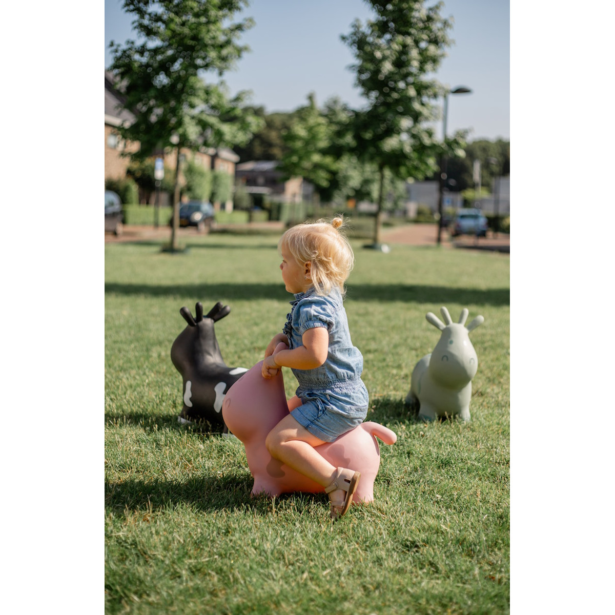 Tryco Pink Skippykoe