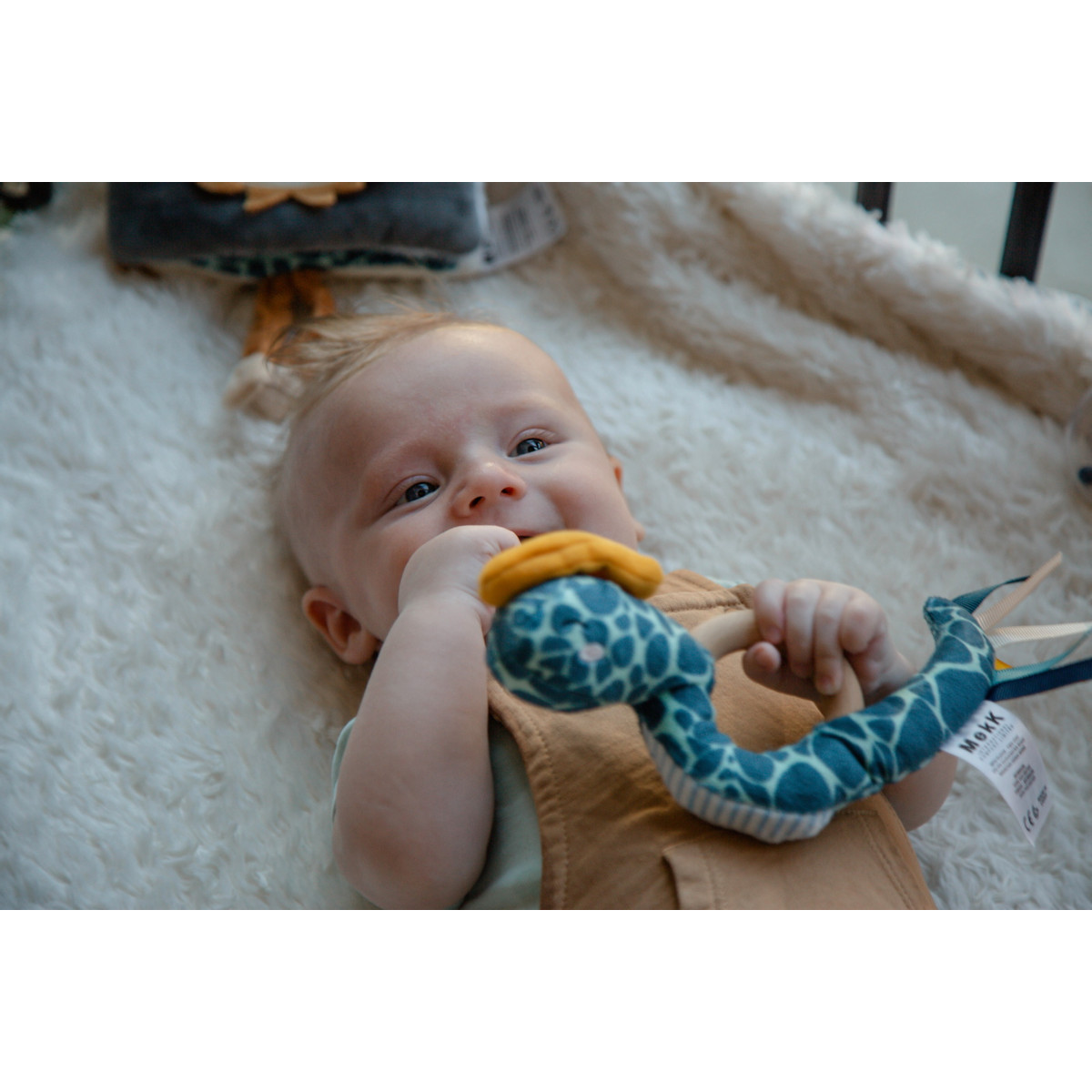 Tryco Slang Steve Houten Bijtring