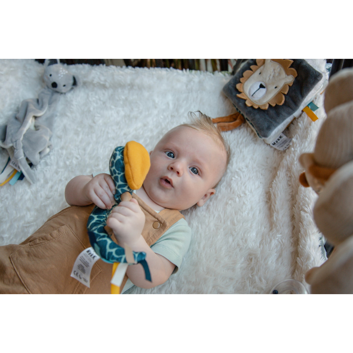 Tryco Slang Steve Houten Bijtring