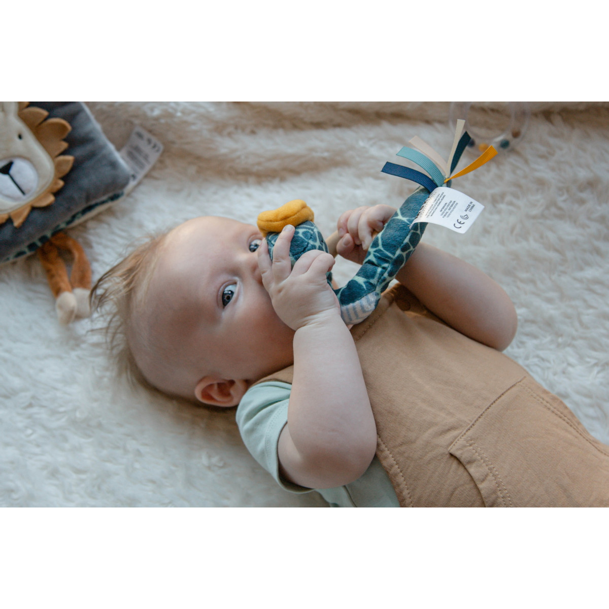 Tryco Slang Steve Houten Bijtring