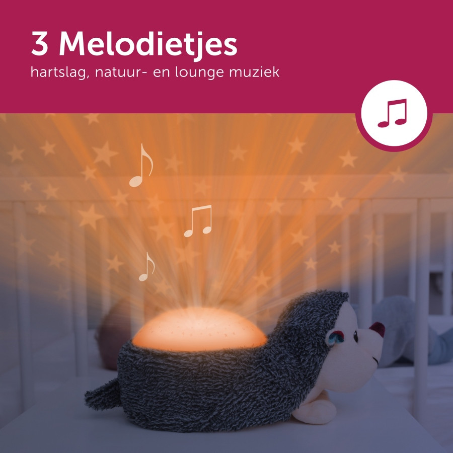 Zazu Harry de Egel Muzikale Sterrenprojector