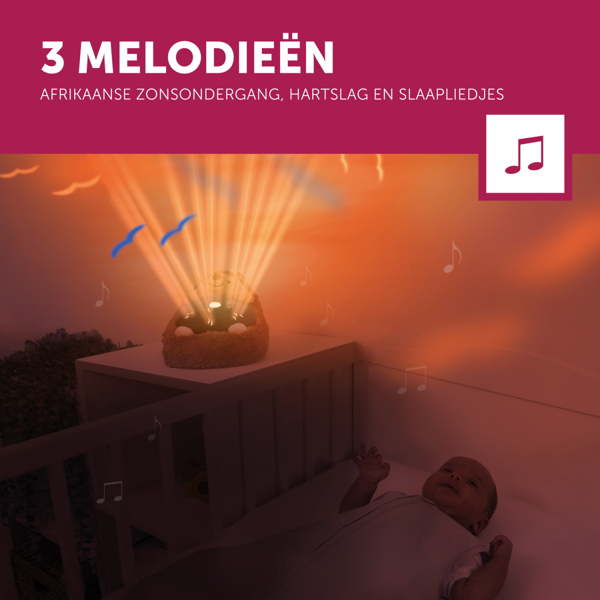 Zazu Henry de Egel Zonsondergang Projector